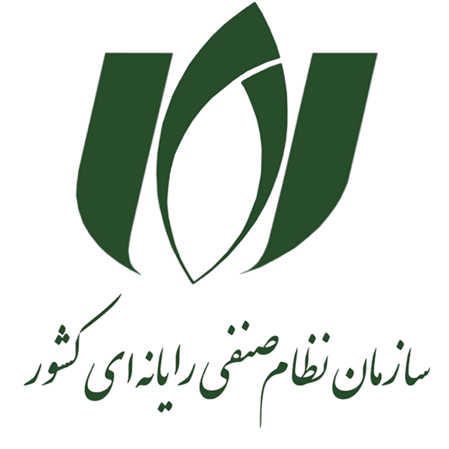 سازمان نظام صنفی رایانه‌ای کشور